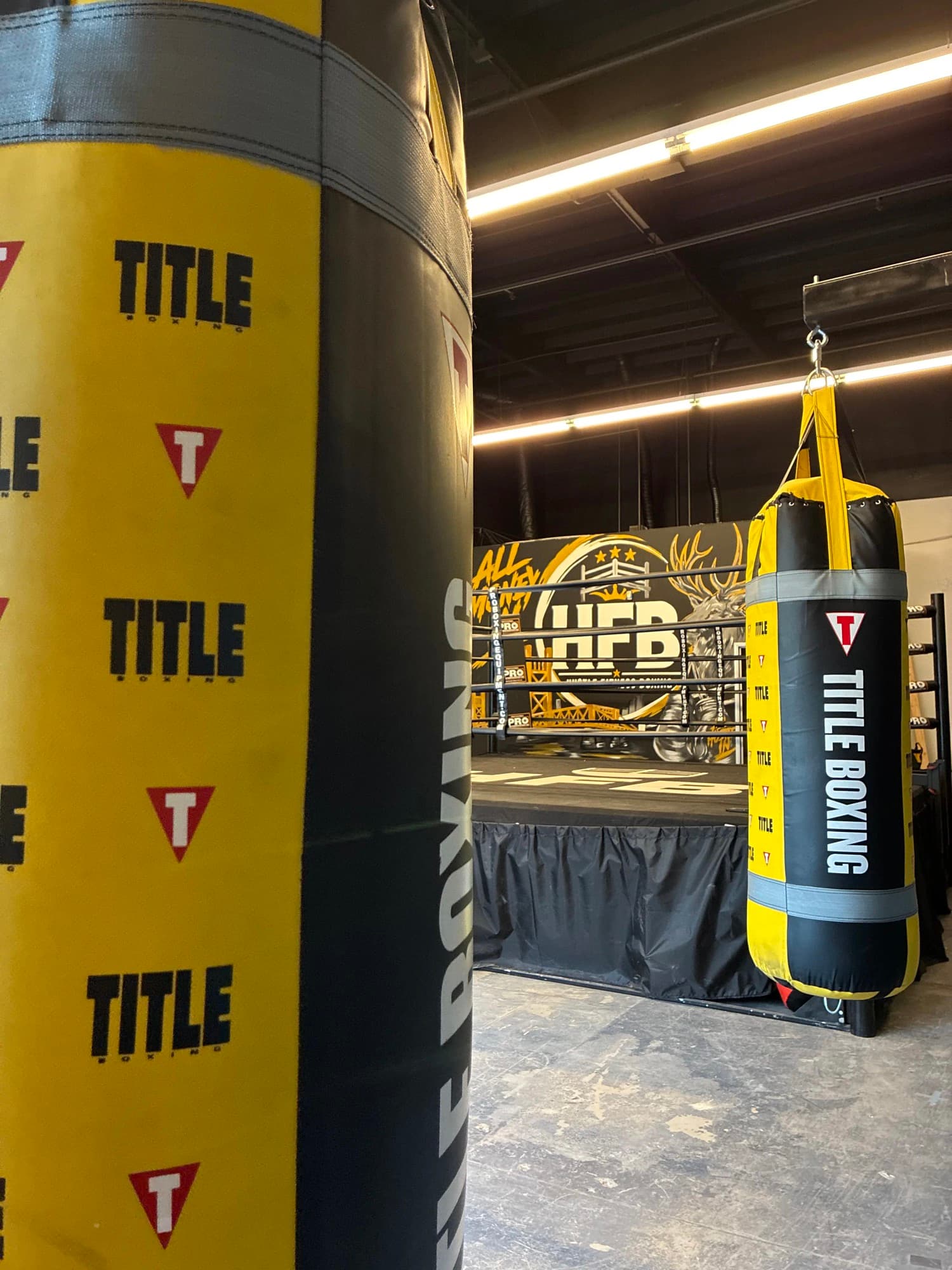 Boxing ring, heavy bags, and HFB mural inside H.U.S.T.L.E. Fitness and Boxing studio
